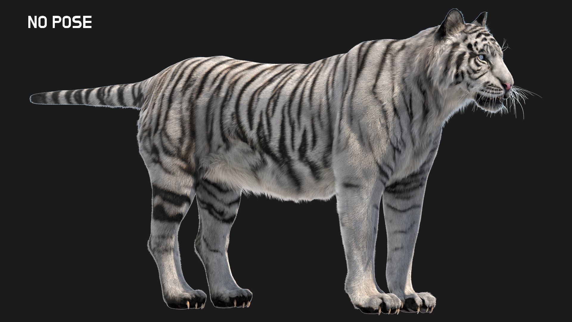 fur 3D https://p.turbosquid.com/ts-thumb/Yf/ohzXdF/Ep0ROX7n/03/jpg/1578997017/1920x1080/fit_q87/c1ada49ad269cb81044d70db4fe85a73fdef62cf/03.jpg