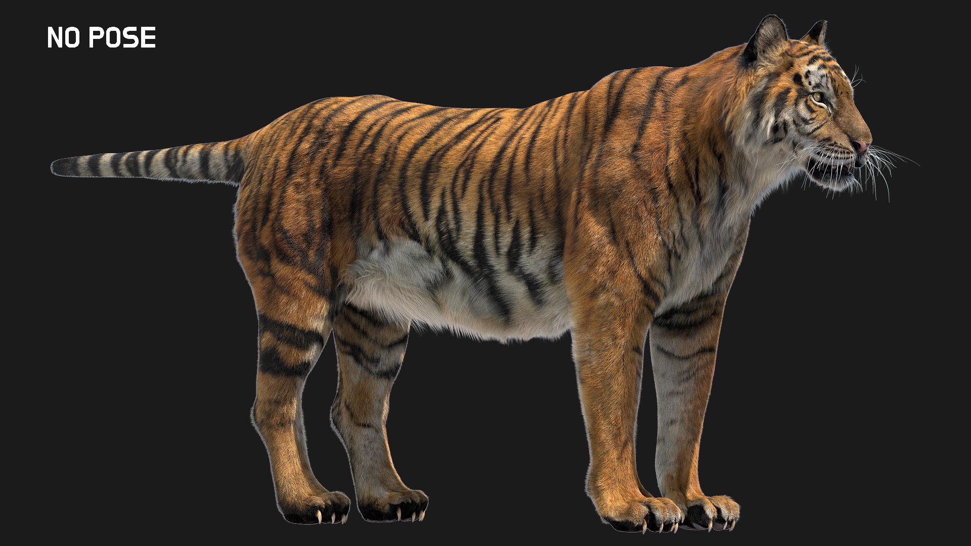 fur 3D https://p.turbosquid.com/ts-thumb/Yf/ohzXdF/FVLr9nQ3/03/jpg/1578996959/1920x1080/fit_q87/75966723c46fdb4305a679cbc84275ff96459c8d/03.jpg