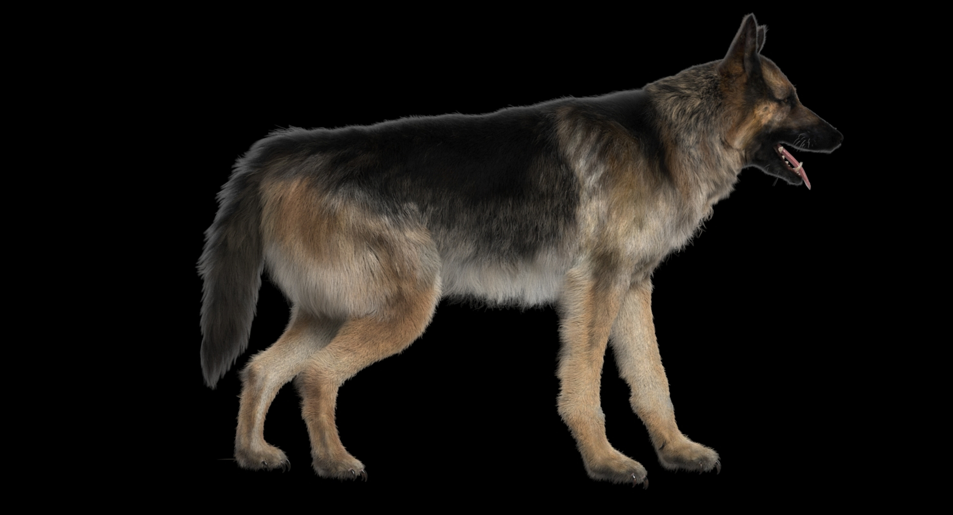 fur 3D https://p.turbosquid.com/ts-thumb/Yf/ohzXdF/GKuQq2zu/shepherd/jpg/1578997416/1920x1080/turn_fit_q99/ec2ccea8101348a4d7d270f75241b5a7f2426140/shepherd-1.jpg