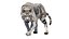 Animal Collection