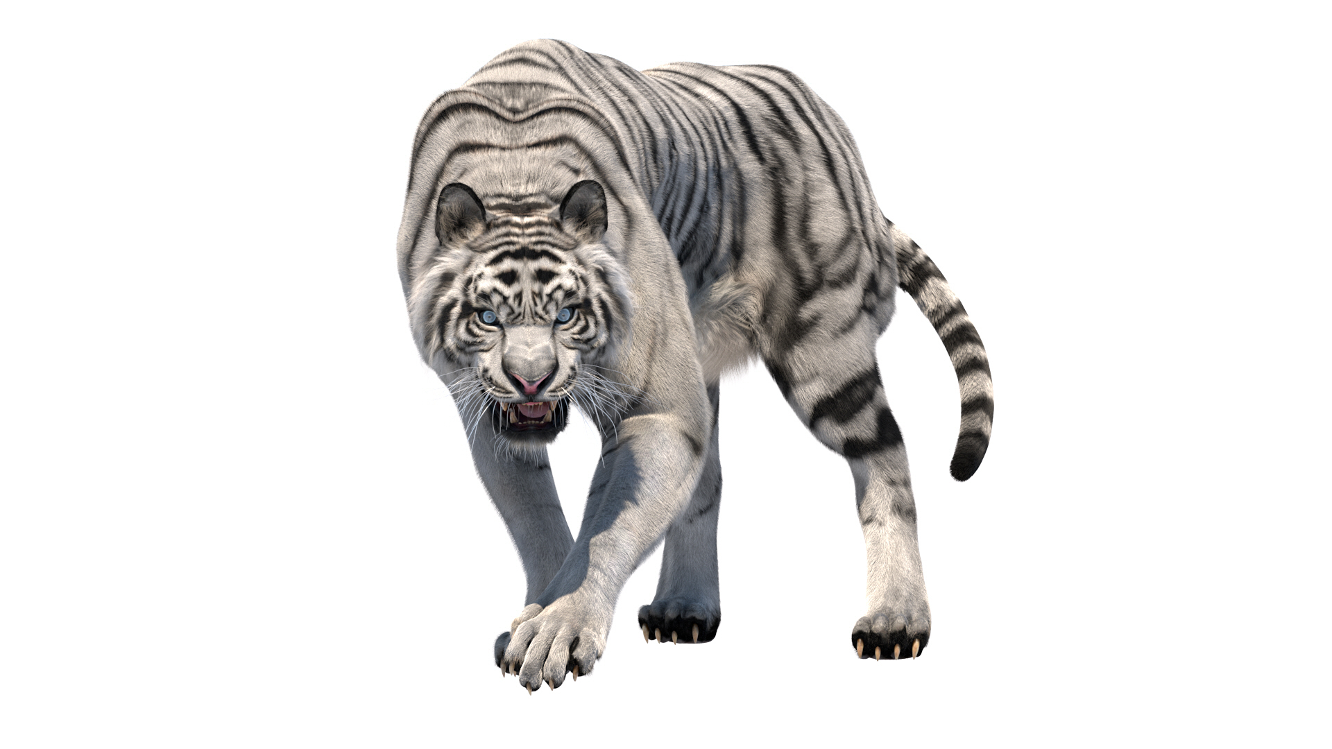 fur 3D https://p.turbosquid.com/ts-thumb/Yf/ohzXdF/ISYe6Uyh/whitetiger/jpg/1578997044/1920x1080/turn_fit_q99/6ab20e84dd8e03acf8800d4acd7be9a5b7e5f89f/whitetiger-1.jpg