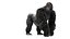 Animal Collection