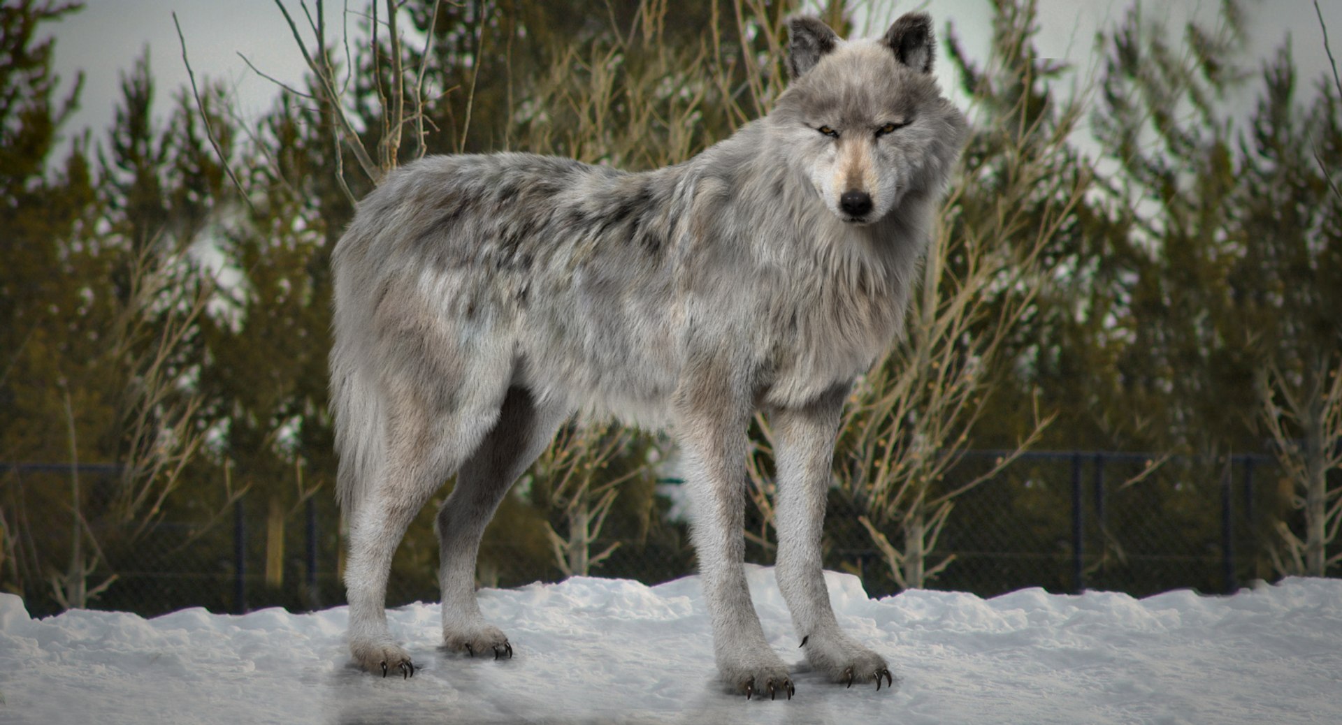 fur 3D https://p.turbosquid.com/ts-thumb/Yf/ohzXdF/PfjlOXYa/02/jpg/1578997428/1920x1080/fit_q87/3ef01ad306c95c6d709c3f5bf304a2bc1e17df68/02.jpg