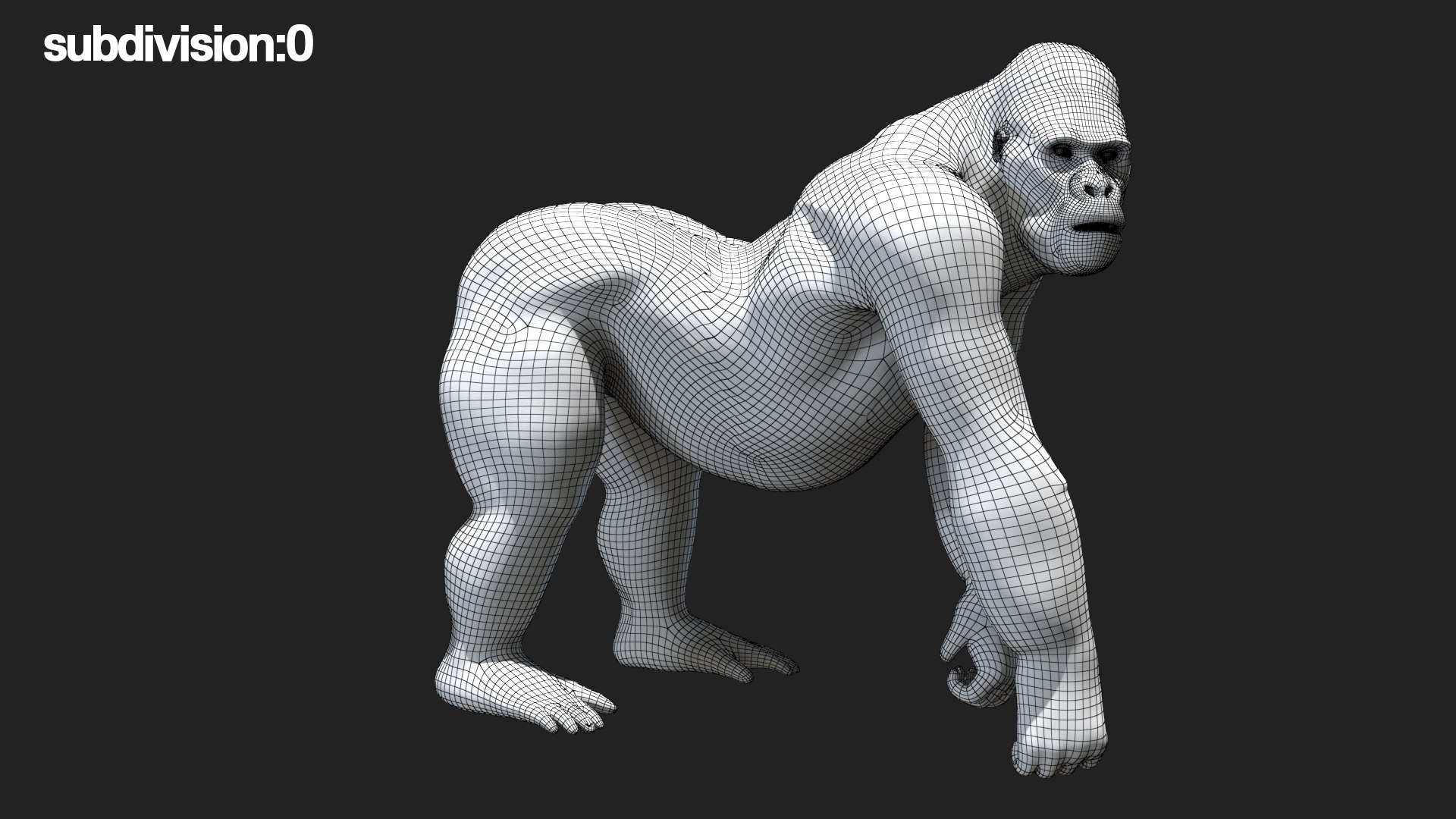 fur 3D https://p.turbosquid.com/ts-thumb/Yf/ohzXdF/QpbwhlYa/70/jpg/1578996212/1920x1080/fit_q87/a52bf8626e14eb6b907e37809a5fbd7b080c6f80/70.jpg