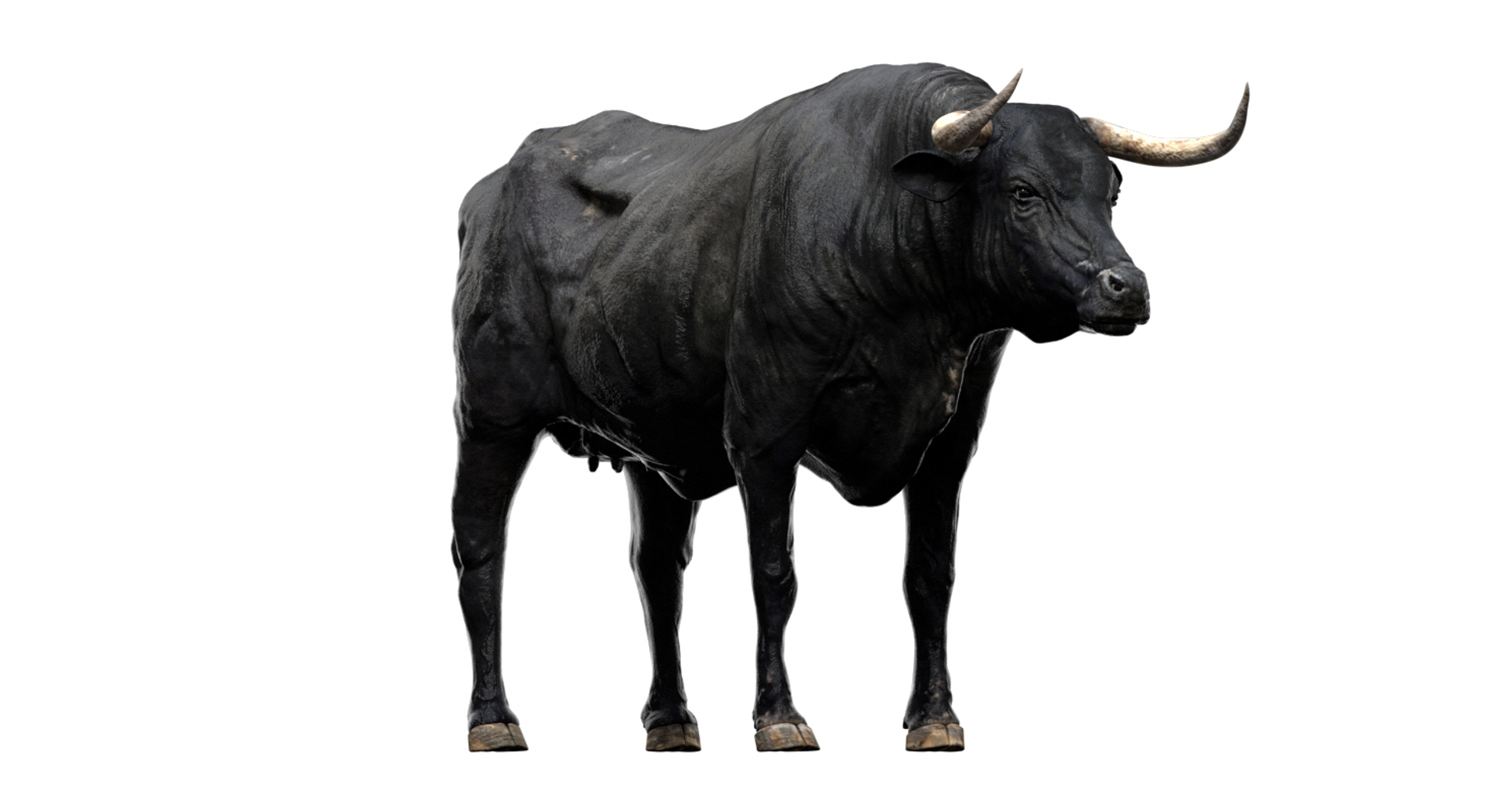fur 3D https://p.turbosquid.com/ts-thumb/Yf/ohzXdF/R4qCiKk8/bullcow/jpg/1578995960/1920x1080/turn_fit_q99/55332b24ef88abbab0180c25d57b43f3f3742e8d/bullcow-1.jpg