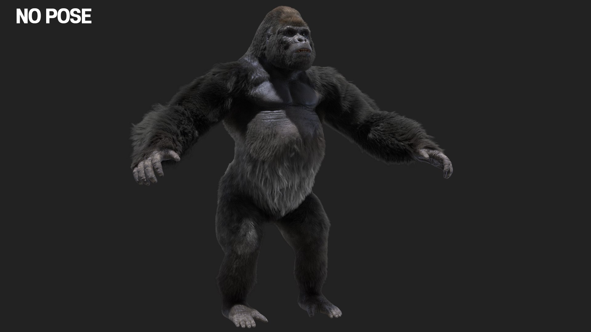 fur 3D https://p.turbosquid.com/ts-thumb/Yf/ohzXdF/RdCvMTAE/03/jpg/1578996212/1920x1080/fit_q87/0dd17024450859009bbfe4bdeb83b53a98088f8d/03.jpg