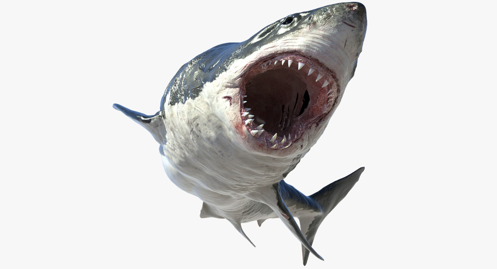 fur 3D https://p.turbosquid.com/ts-thumb/Yf/ohzXdF/dhfqJ01D/02/jpg/1578996806/1920x1080/fit_q87/ad75e40a91a9c6eed95f77221db7b8b048cc617e/02.jpg