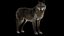 Animal Collection