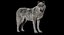 Animal Collection