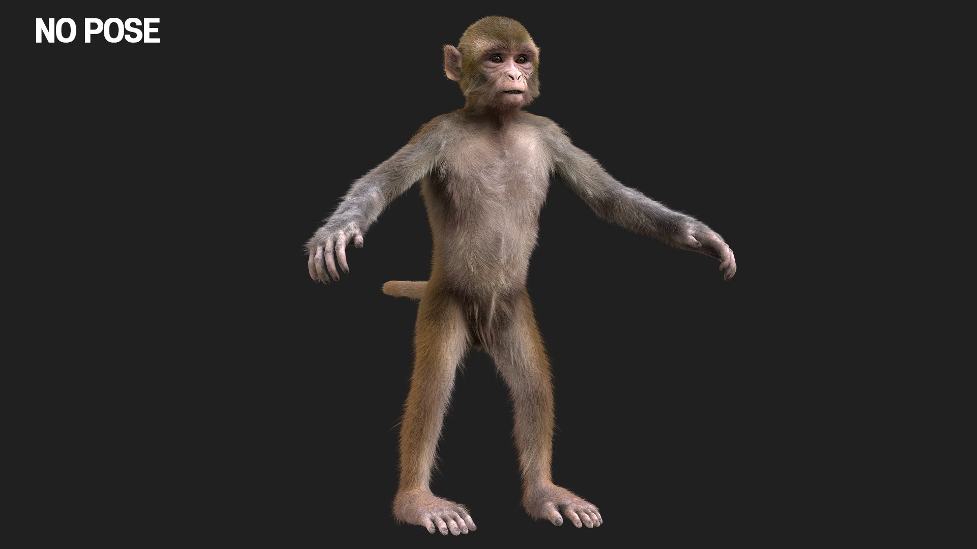 fur 3D https://p.turbosquid.com/ts-thumb/Yf/ohzXdF/iT5PDqXu/03/jpg/1578996690/1920x1080/fit_q87/e3906fde5e334792c0551eba5d2e65286e7f1c06/03.jpg
