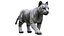 Animal Collection