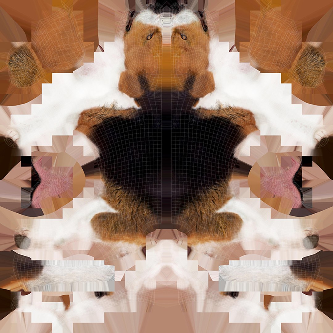 fur 3D https://p.turbosquid.com/ts-thumb/Yf/ohzXdF/lIGYuJC4/20/jpg/1578995677/1920x1080/fit_q87/eea1e89c0ff473fe8f5c8ff4e06d4c770975ac32/20.jpg