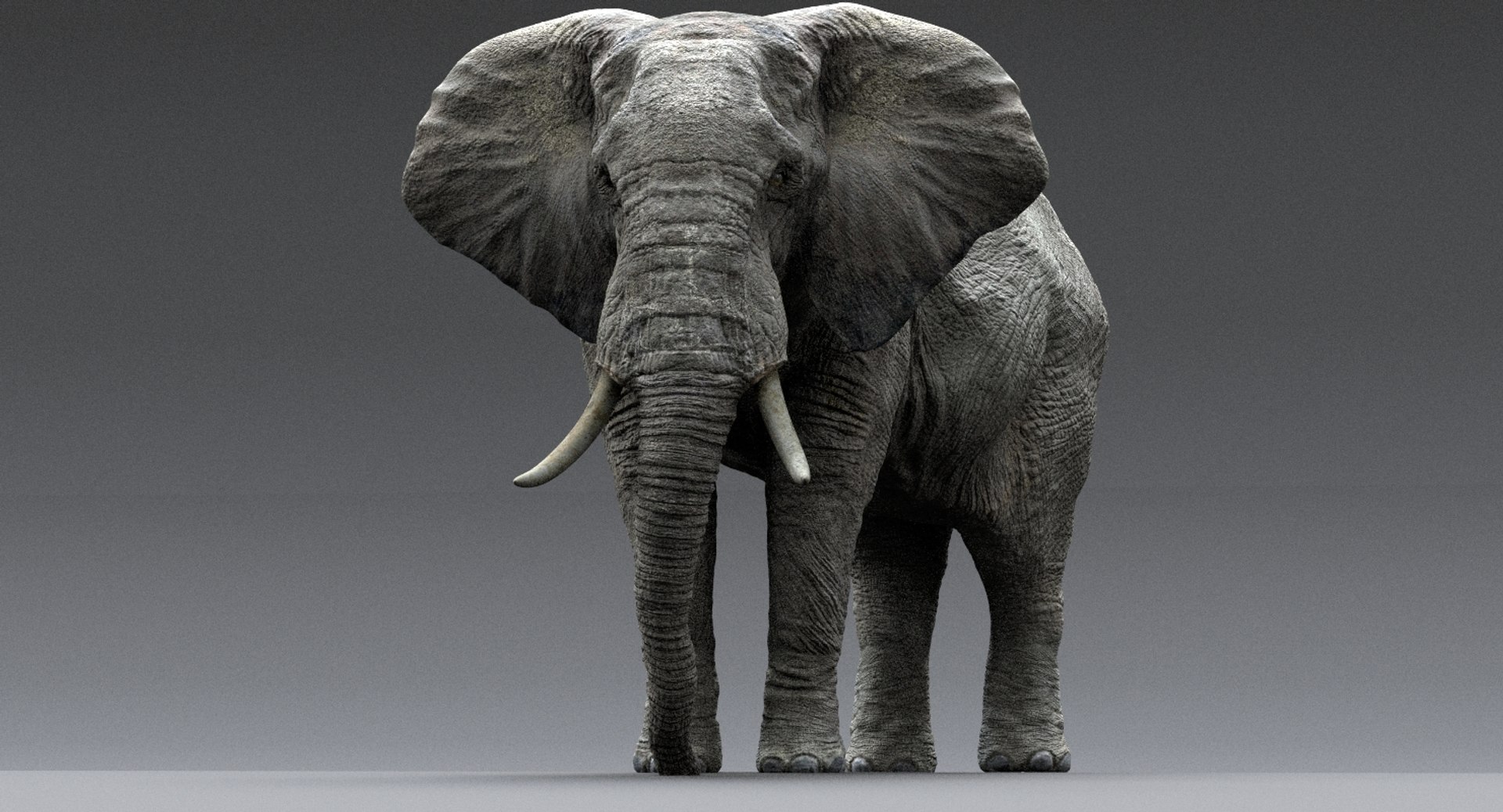 fur 3D https://p.turbosquid.com/ts-thumb/Yf/ohzXdF/nZxQ3EGZ/second/jpg/1578996095/1920x1080/fit_q87/cfb75e2624ae52fd87311a3f6ec7f5ce7910a7da/second.jpg