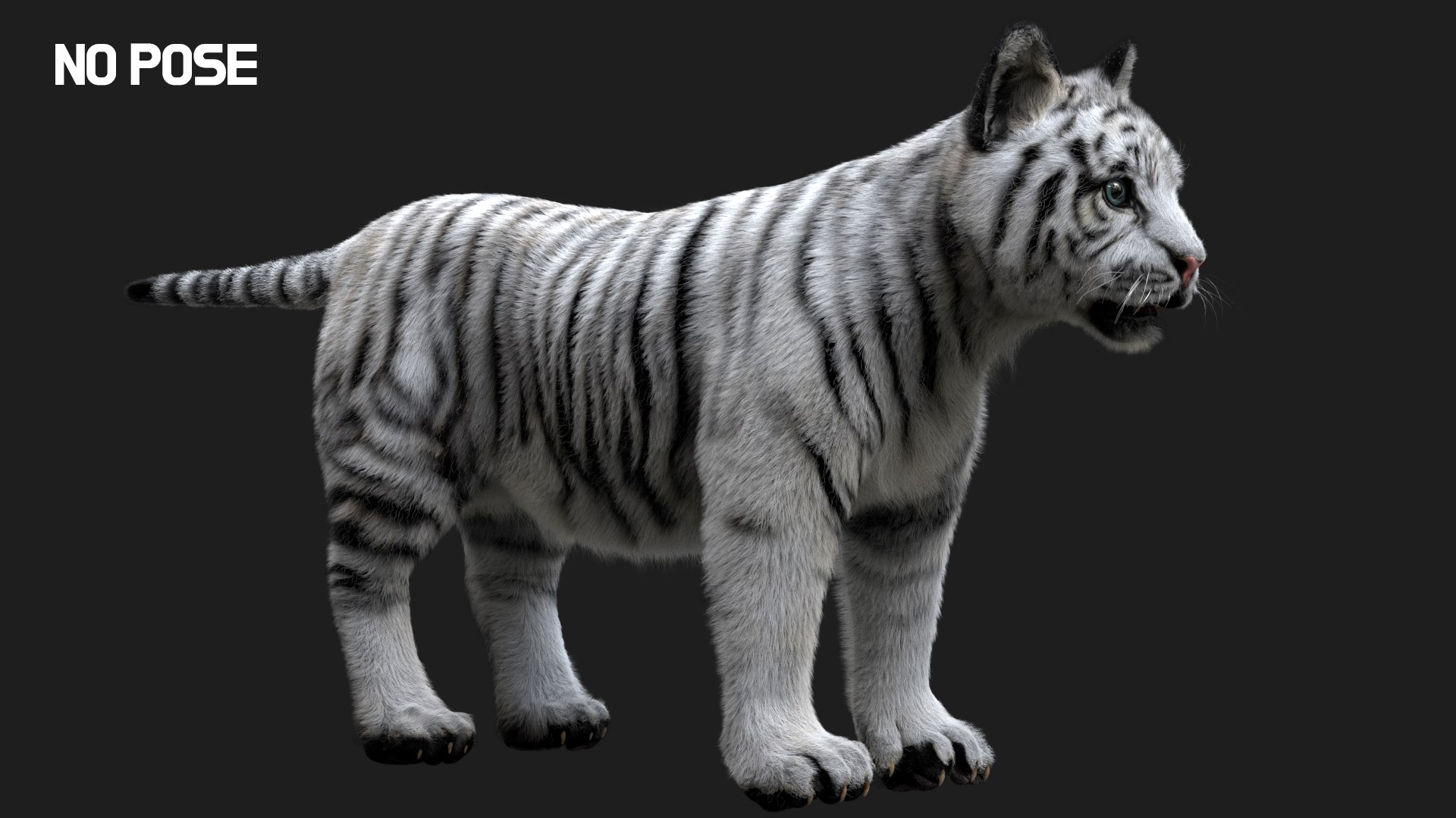 fur 3D https://p.turbosquid.com/ts-thumb/Yf/ohzXdF/vkjlXwbr/03/jpg/1578997044/1920x1080/fit_q87/ad20c95c2286c2d8ba3422c13301bbb310efed64/03.jpg
