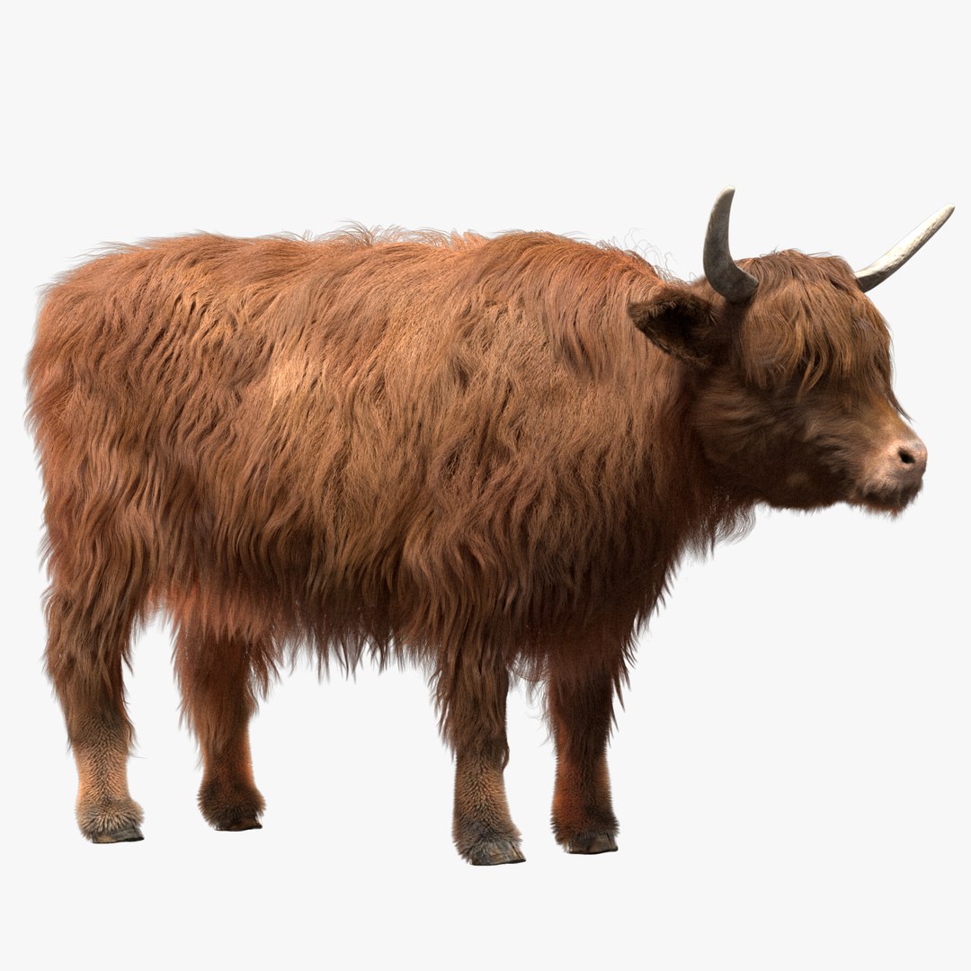 fur 3D https://p.turbosquid.com/ts-thumb/Yf/ohzXdF/wnPKMenR/01/jpg/1578996000/1920x1080/fit_q87/b7dc98b1bf05a3f6cbe4bc8e86554ac90ed25ed0/01.jpg