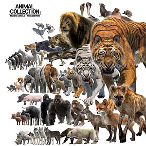 Animal Collection