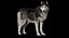 Animal Collection