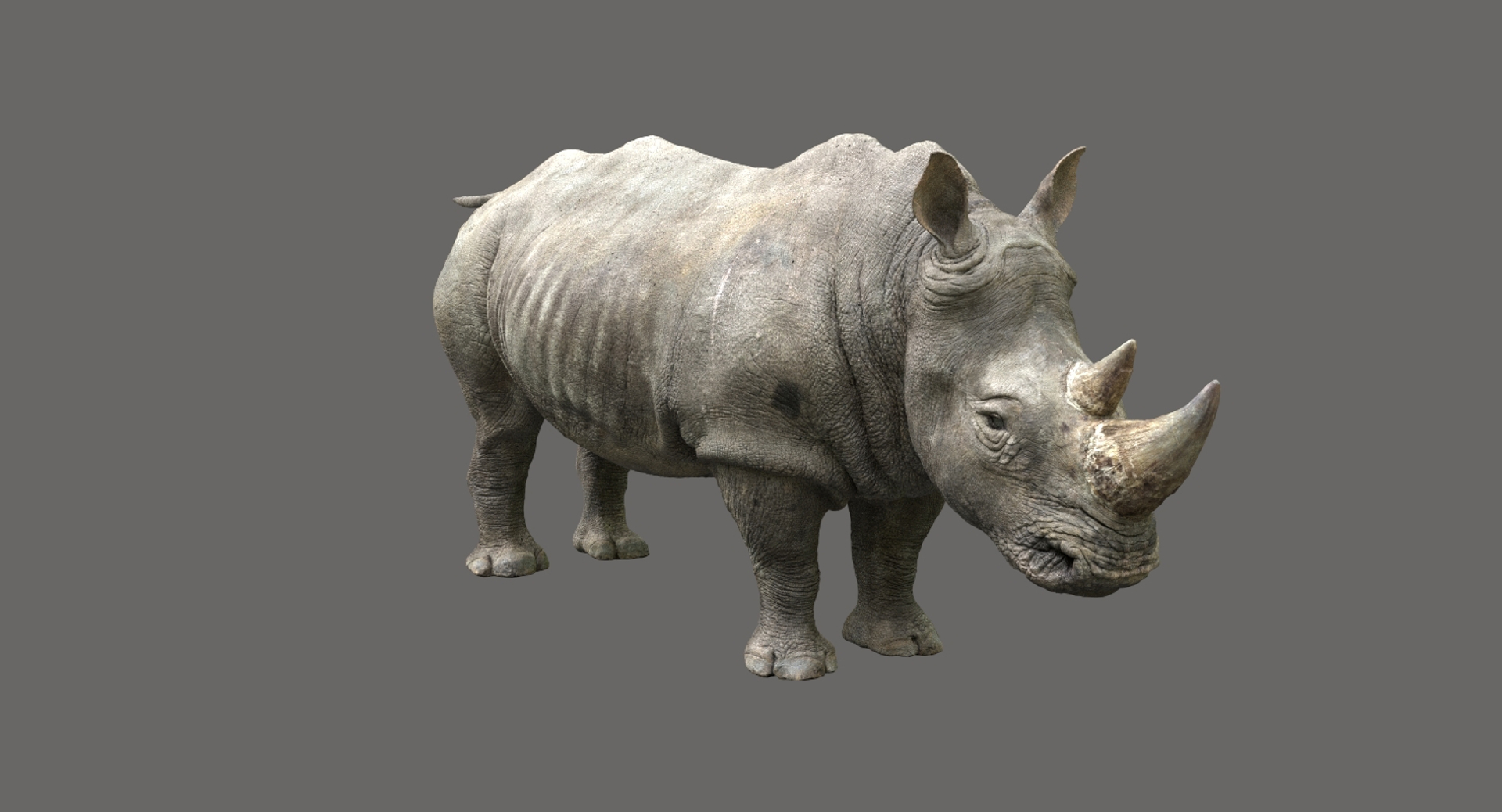 fur 3D https://p.turbosquid.com/ts-thumb/Yf/ohzXdF/z7fyqxCC/turntable/jpg/1578996768/1920x1080/turn_fit_q99/3f6952039ef8f0388556bc867184426a3de828f0/turntable-1.jpg