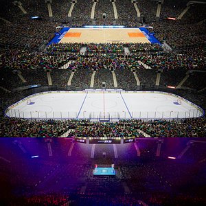 MSG Arena Basketball Hockey Boxing Fighting UE5