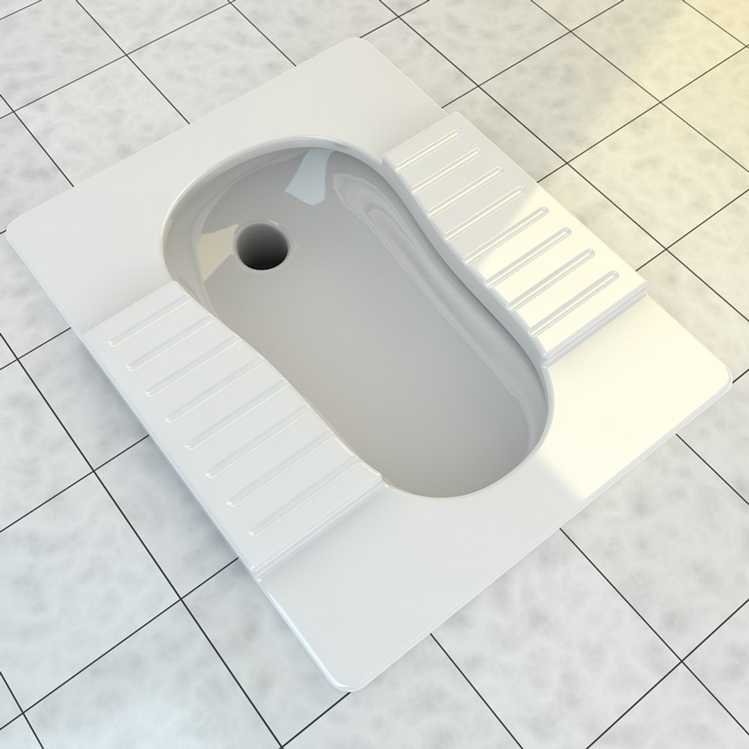 3d Realistic Squat Toilet