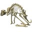 Rabbit Skeleton