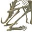Rabbit Skeleton