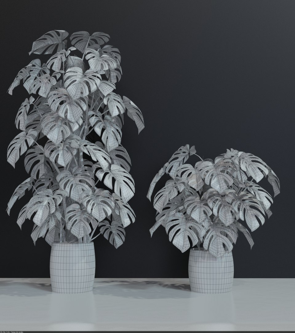 monstera 3d model https://p.turbosquid.com/ts-thumb/Yg/8Gxnkz/NFi0dm8G/wireframe/jpg/1463504105/1920x1080/fit_q87/b28e604bb66a4f85b118f5802680b5589e6d85c2/wireframe.jpg