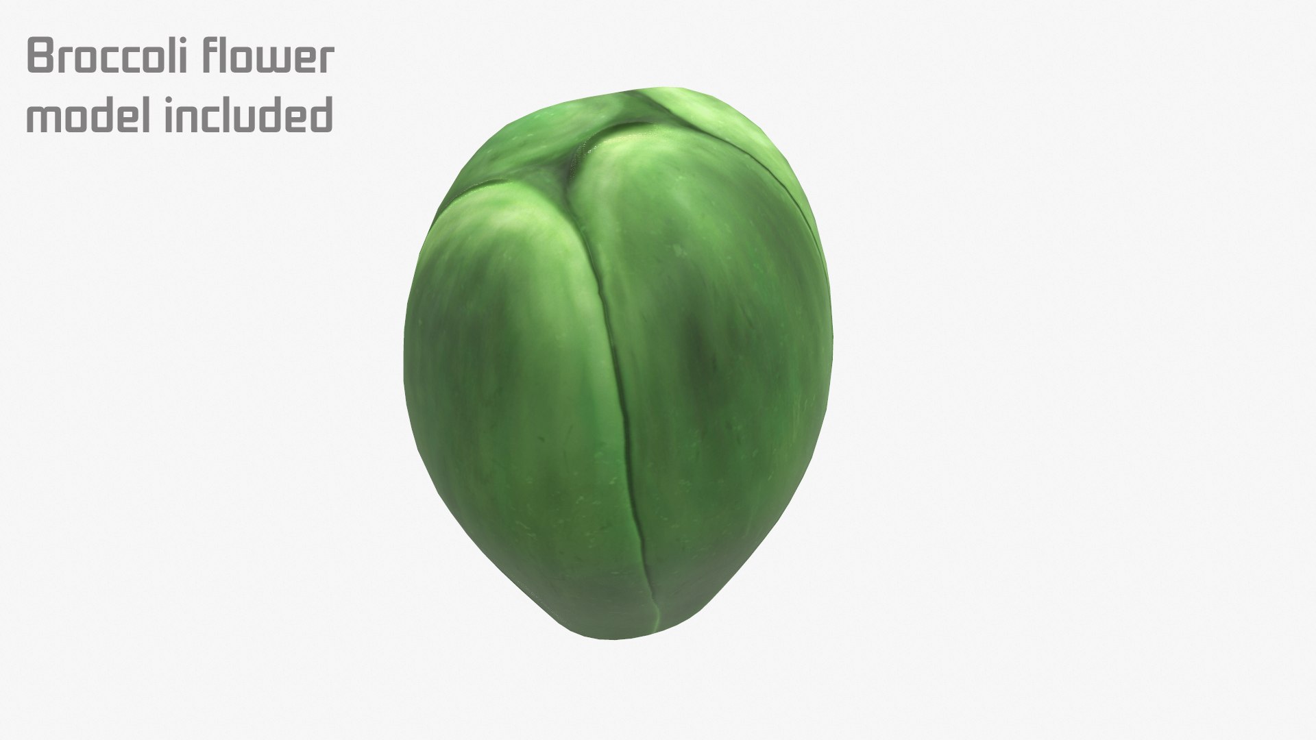3D Broccoli Pbr Model - TurboSquid 1261782