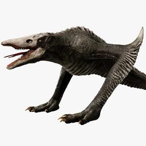 Skull Crawler Monster