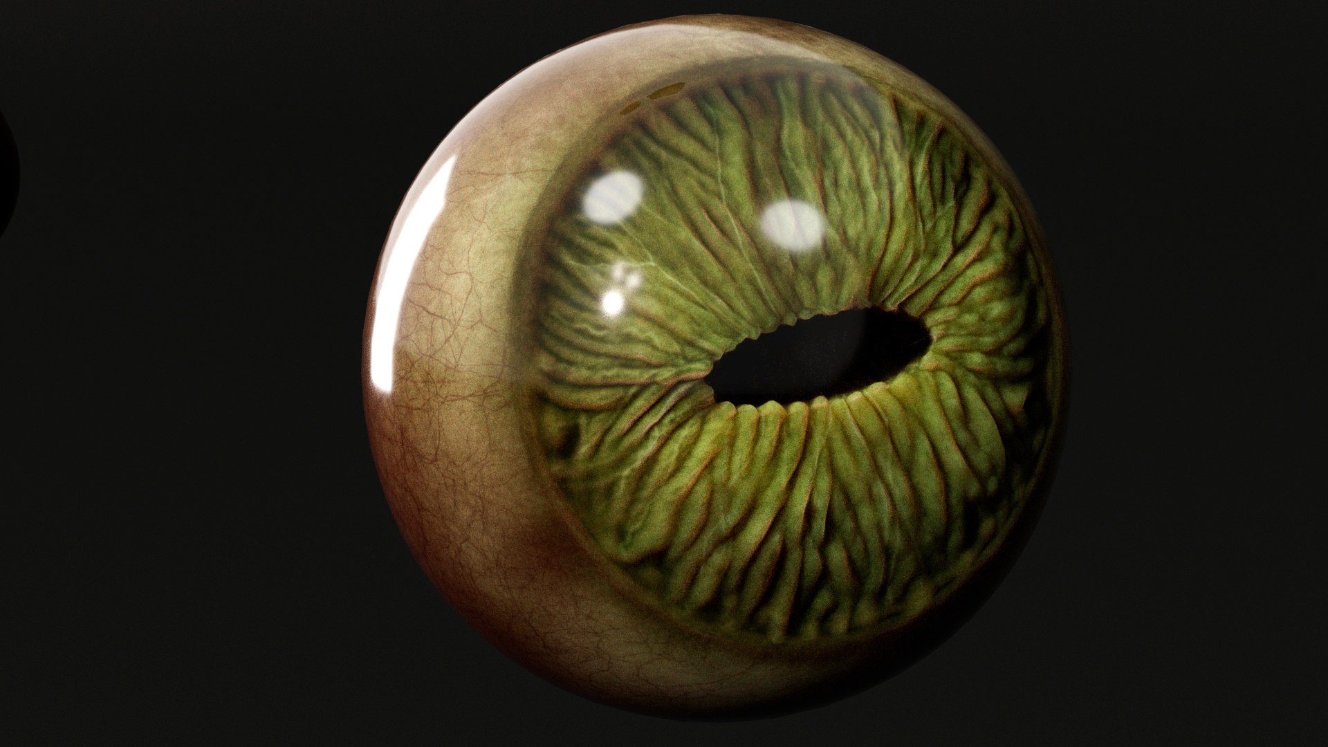 Skull Crawler Monster 3D https://p.turbosquid.com/ts-thumb/Yg/FE9MZd/pM/s16eye/jpg/1749214343/1920x1080/fit_q87/f8f71fa13673da30e6a8384816955621e56d2da1/s16eye.jpg