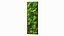 Green Moss Wall with Preserved Plants