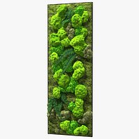 Green Moss Wall with Preserved Plants