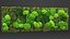 Green Moss Wall with Preserved Plants