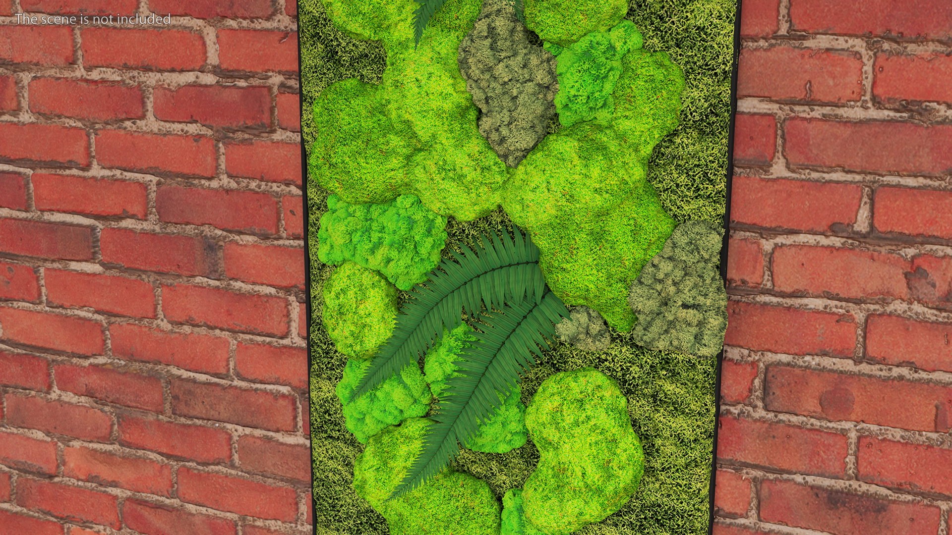3D green moss wall preserved model https://p.turbosquid.com/ts-thumb/Yg/MrQiv6/BlJeSRh0/greenmosswallwithpreservedplants3dmodel005/jpg/1605944227/1920x1080/fit_q87/052508b8c04a00e0bc3e457585a2ea264567205d/greenmosswallwithpreservedplants3dmodel005.jpg