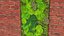 Green Moss Wall with Preserved Plants