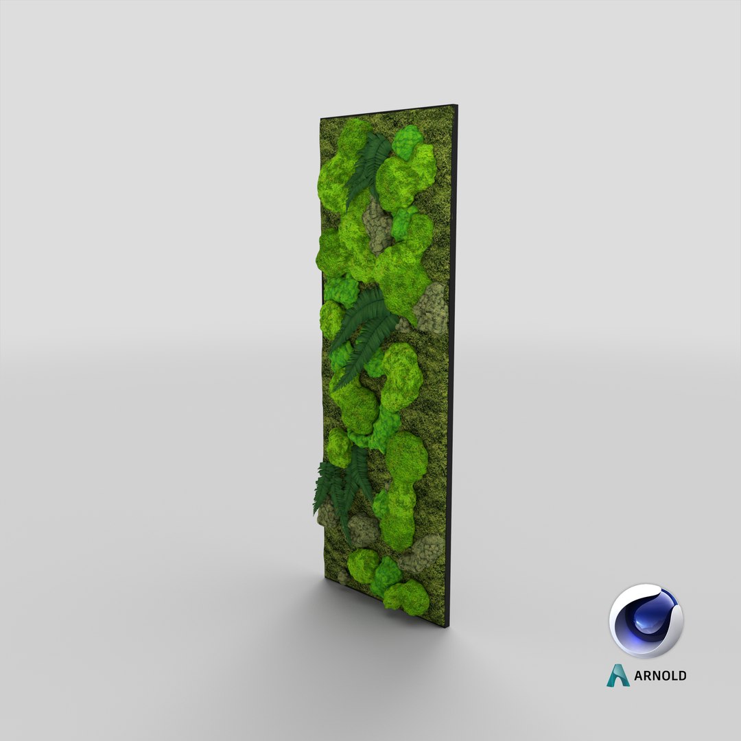 3D green moss wall preserved model https://p.turbosquid.com/ts-thumb/Yg/MrQiv6/CF/stemcell_cinema_4d_arnold_render/png/1646293686/1920x1080/fit_q87/62d2ae0f0a93fe2d8a5378d4afcfe157b6abcd72/stemcell_cinema_4d_arnold_render.jpg