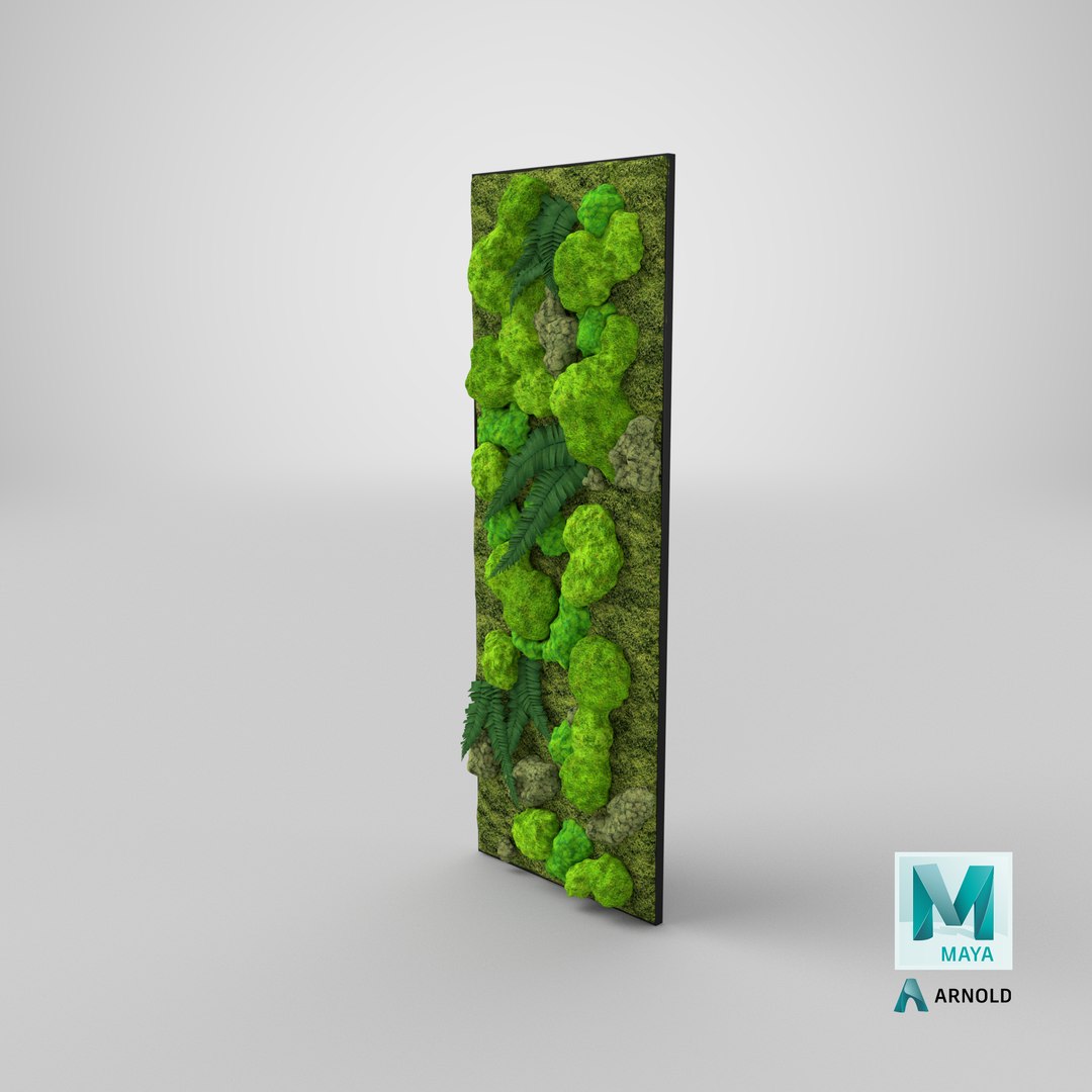 3D green moss wall preserved model https://p.turbosquid.com/ts-thumb/Yg/MrQiv6/F2/stemcell_maya_arnold_render/png/1646293697/1920x1080/fit_q87/6a6234e32051d072f359be0aee1f76ed8d39b7b0/stemcell_maya_arnold_render.jpg
