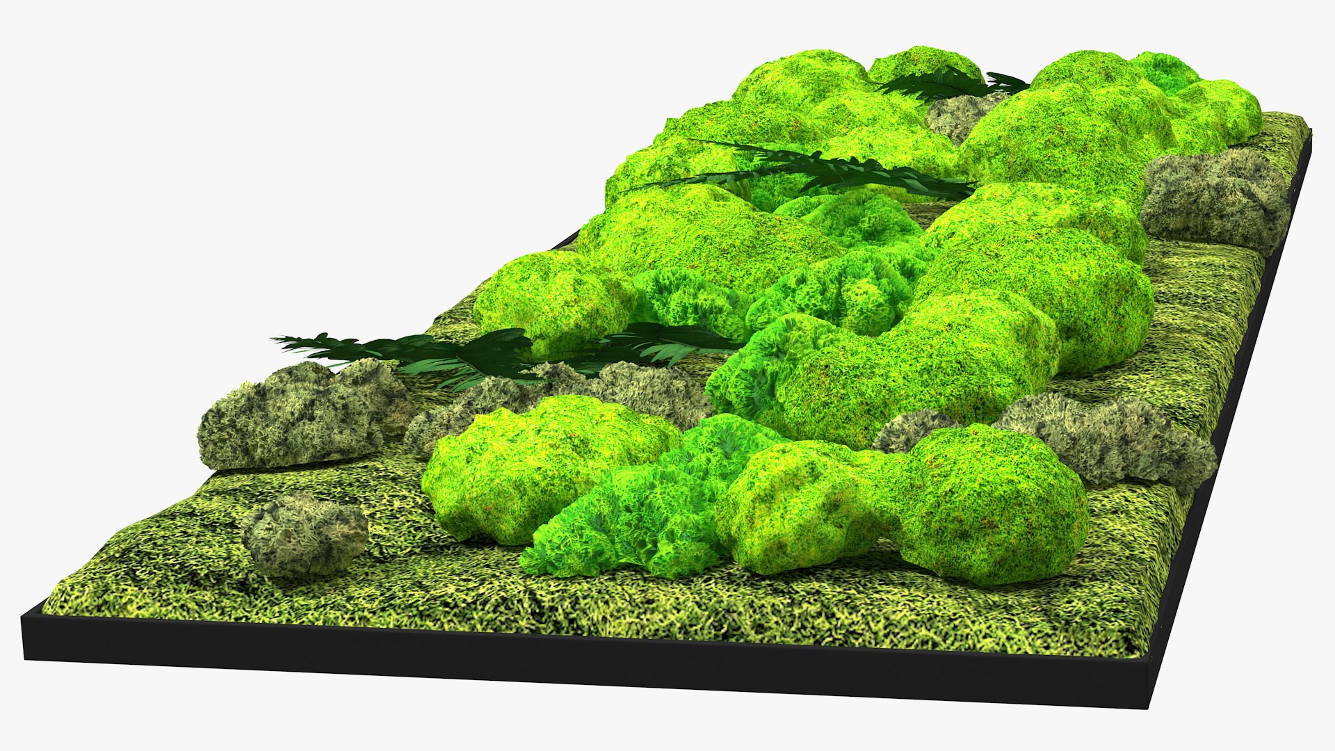3D green moss wall preserved model https://p.turbosquid.com/ts-thumb/Yg/MrQiv6/V0VrCagc/greenmosswallwithpreservedplants3dmodel009/jpg/1605944275/1920x1080/fit_q87/0998f8e85ac1ade5c28dc0e7740b6cdeea6b5287/greenmosswallwithpreservedplants3dmodel009.jpg