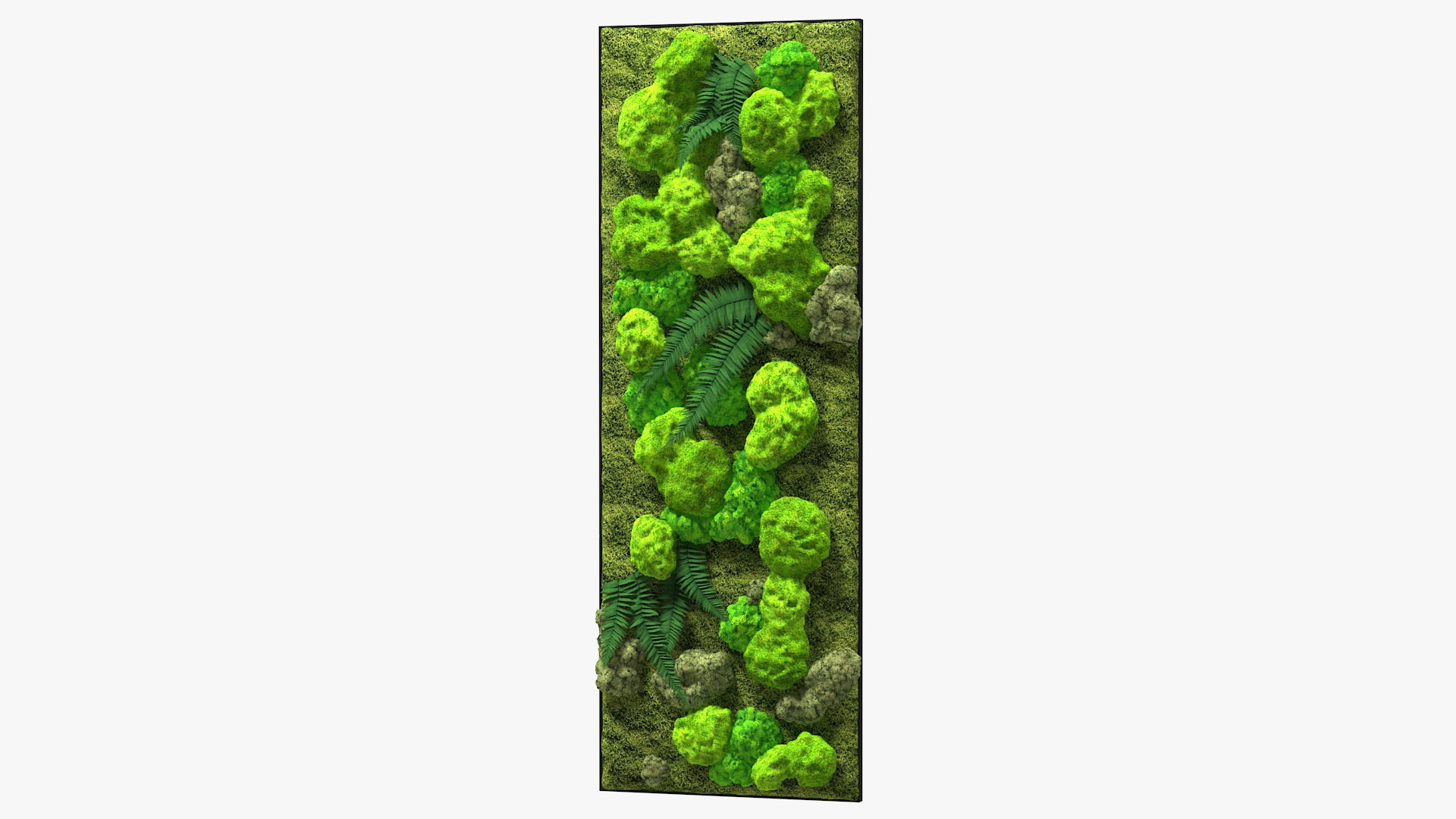 Green Moss Wall with Preserved Plants 3D model preview