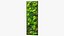 Green Moss Wall with Preserved Plants