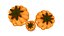 Halloween Pumkin