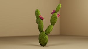 Prickly Pear Cactus 3D model
