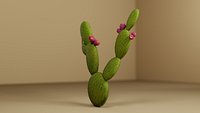 Prickly Pear Cactus