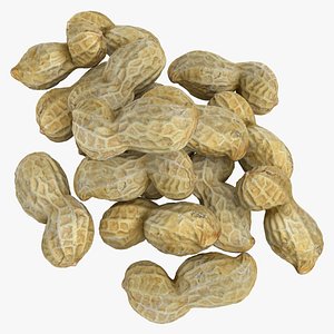 Peanut Shell 02 Pile