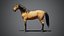 Cavalo Mustang animado