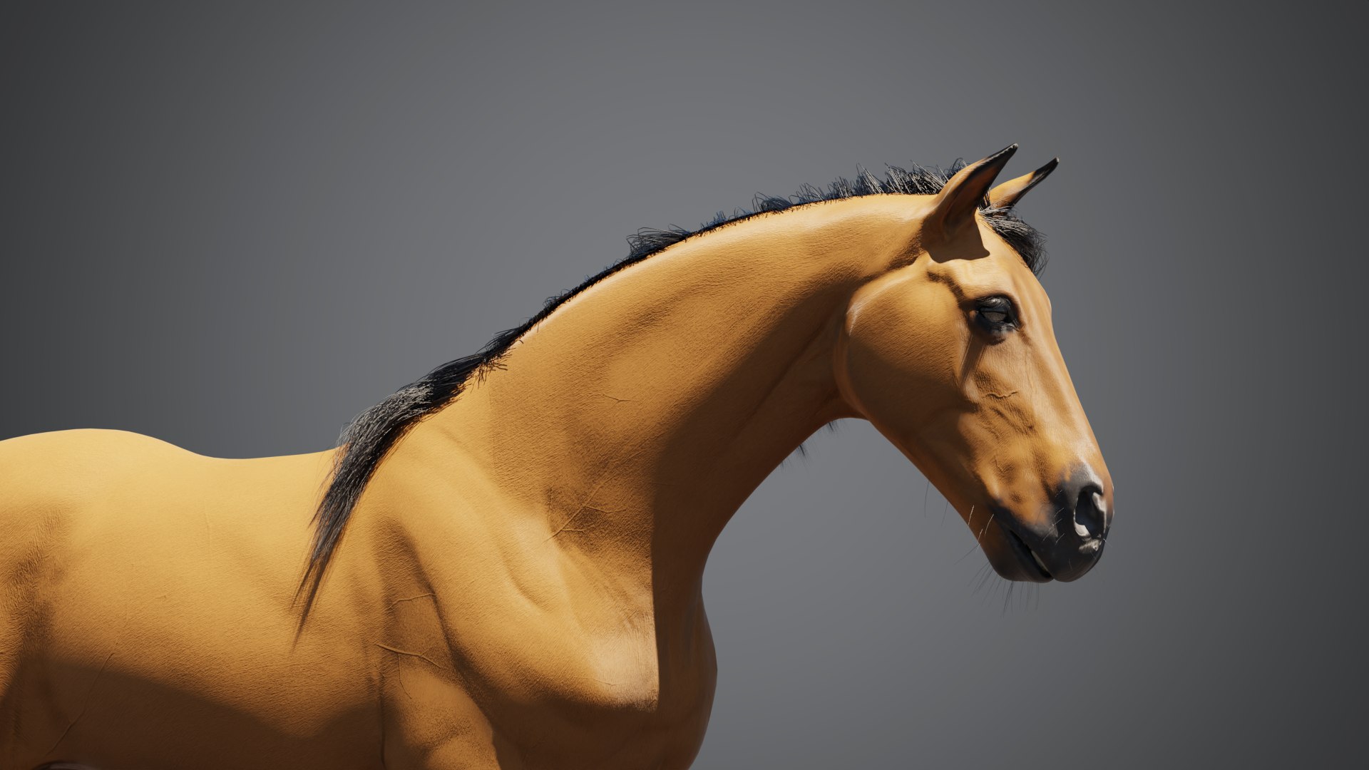 Horse Mustang animated 3D model https://p.turbosquid.com/ts-thumb/Yg/dWF8cI/Kz/02_compositing/png/1766430548/1920x1080/fit_q87/6e82c61c52353da0355aa0feb07636347ba3bf6b/02_compositing.jpg