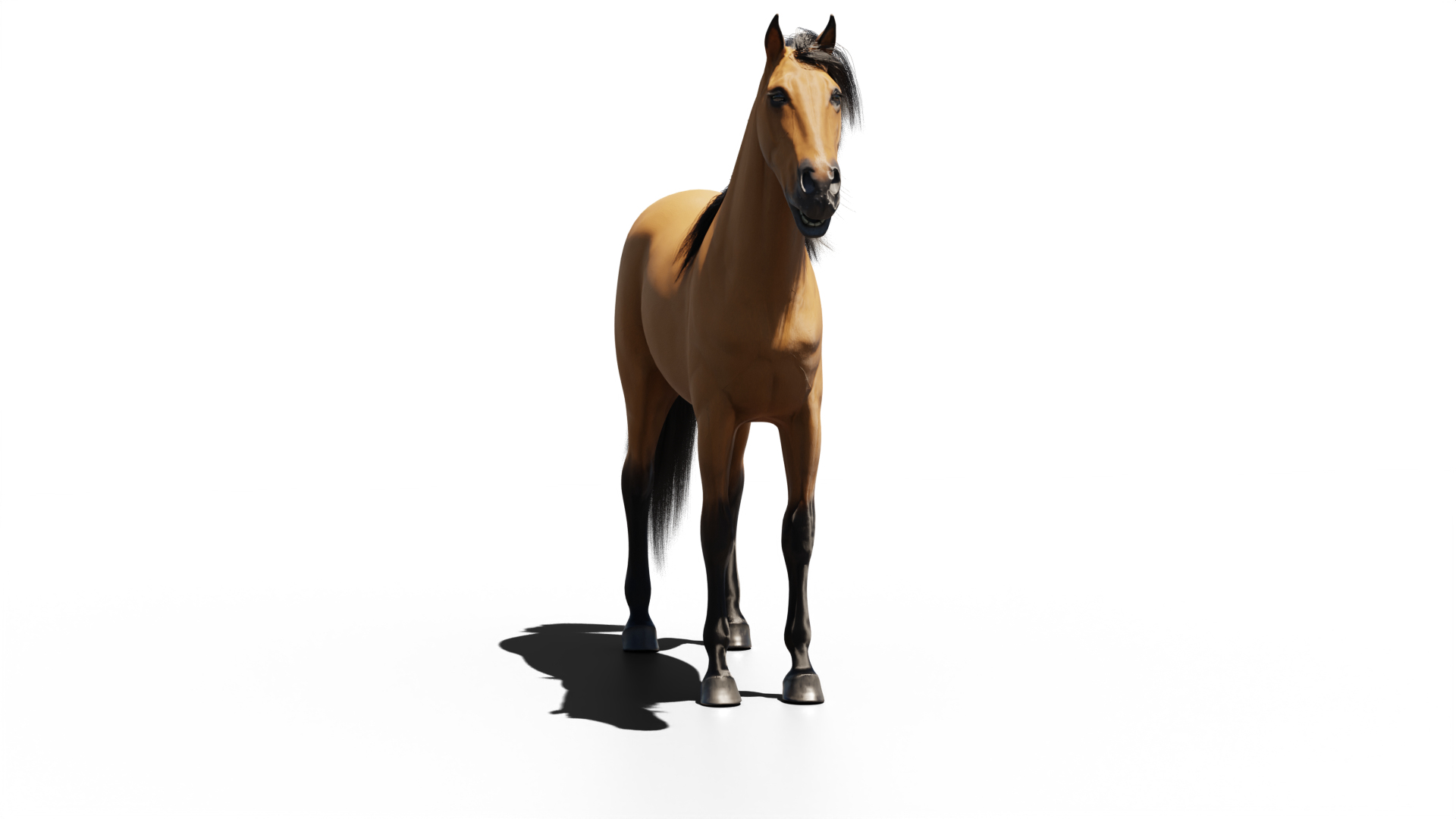 Horse Mustang animated 3D model https://p.turbosquid.com/ts-thumb/Yg/dWF8cI/fT/munstang/png/1766430650/1920x1080/turn_fit_q99/97cf9b2f6810338b5303d5490bfd42fe699a983a/munstang-1.jpg