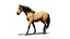 Cavalo Mustang animado