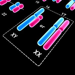 3d model chromosomes stylish