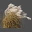 Miscanthus sinensis dry